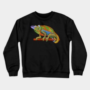 Jackon's Chameleon Crewneck Sweatshirt